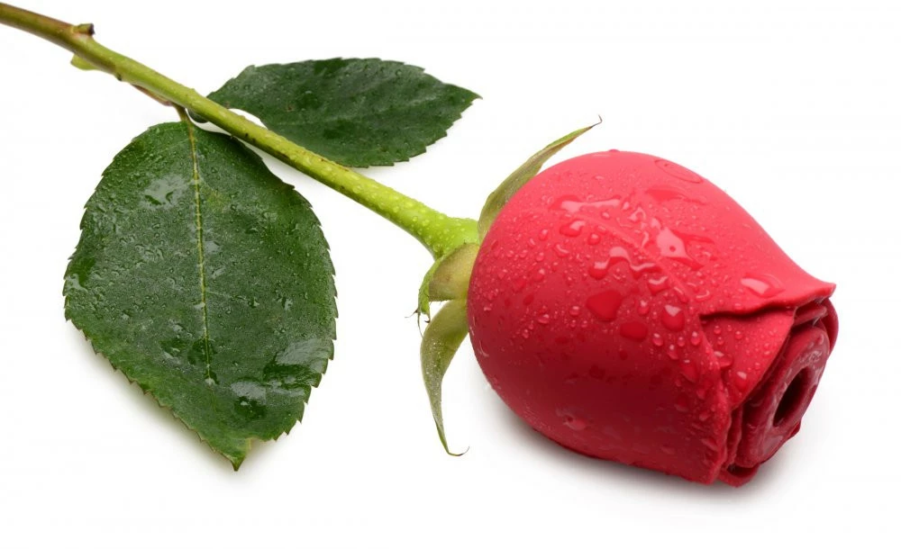 Rechargeable Vibrators Extreme Sex Toys, Bondage, & Fucking Machines | ExtremeRestraintsBloomgasm Wild Rose 10X Silicone Clit Stimulator - Image 6