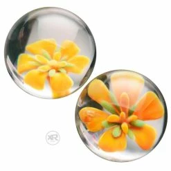 Prisms Erotic Glass Extreme Sex Toys, Bondage, & Fucking Machines | ExtremeRestraints