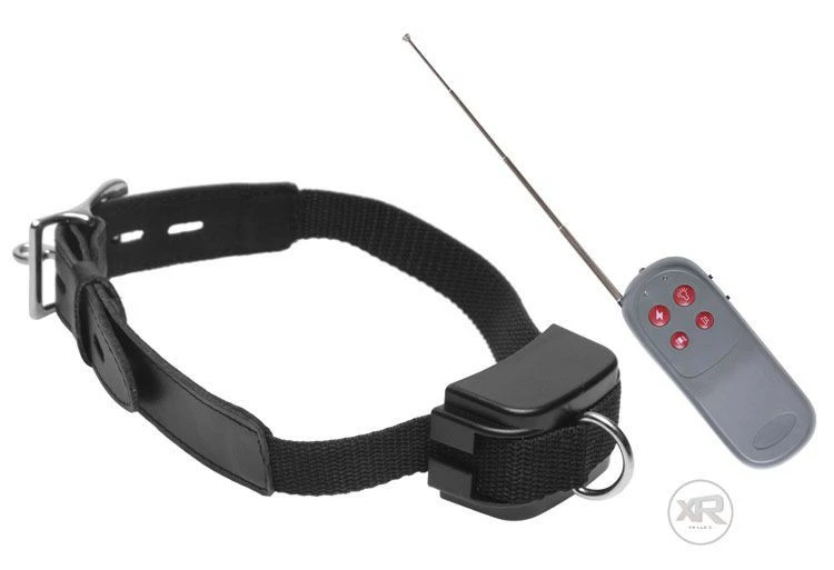 Collars Extreme Sex Toys, Bondage, & Fucking Machines | ExtremeRestraints - Image 3