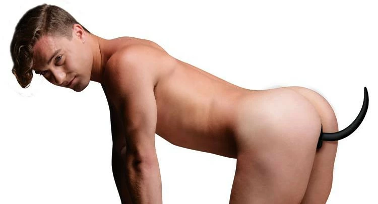 Pony & Puppy Play Extreme Sex Toys, Bondage, & Fucking Machines | ExtremeRestraints